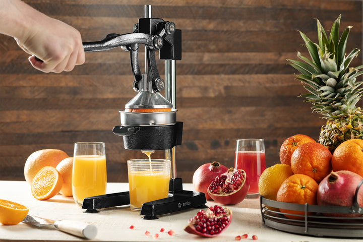 Eurolux Cast Iron Citrus Juicer | Commercial Grade Manual Hand Press | Countertop Squeezer for Fresh Fruit Juice