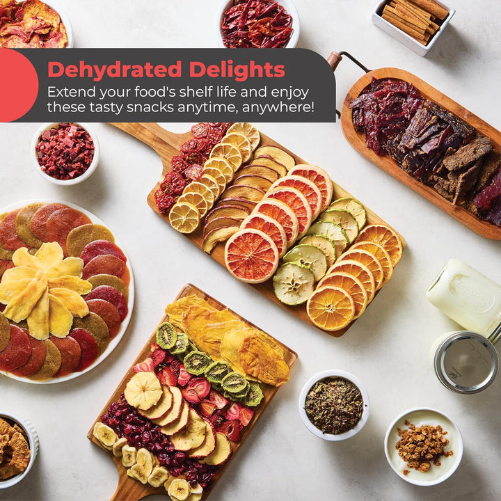 Magic Mill Premium Food Dehydrator 10 Extra-Large Stainless Steel Trays MFD-7100 (Upgraded)